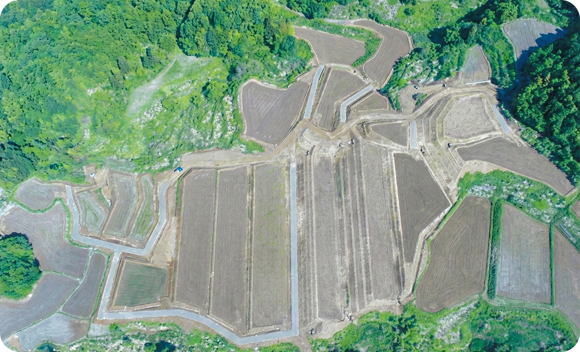 土木分野